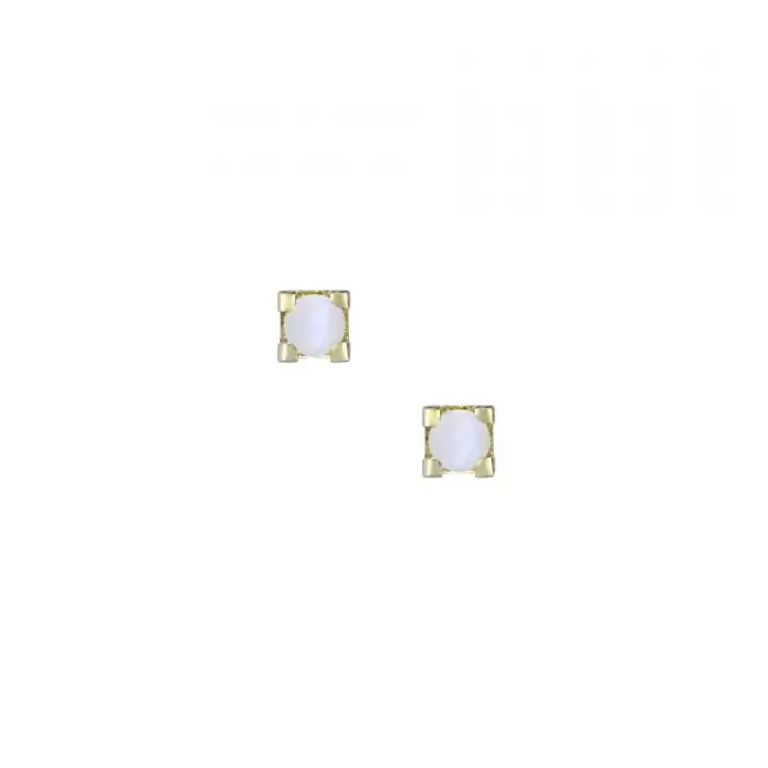 SKU-13399 / Σκουλαρίκια Χρυσός Κ14 με Γενέθλιους Λίθους