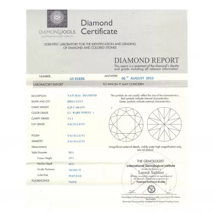 SKU-14348 / Μονόπετρο DiamondJools Λευκόχρυσος Κ18 με Διαμάντι
