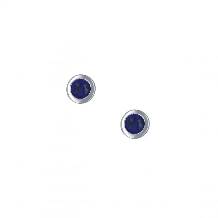 SKU-16137 / Σκουλαρίκια Λευκόχρυσος Κ14 με Ζιργκόν
