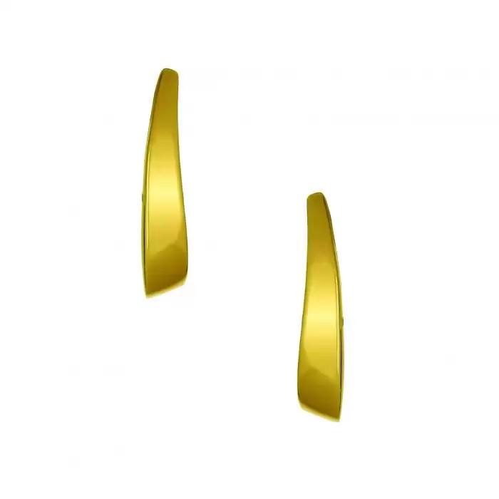 SKU-16845 / Σκουλαρίκια Χρυσός Κ14