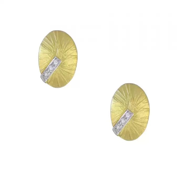 SKU-24478 / Σκουλαρίκια Χρυσός & Λευκόχρυσος Κ14 με Ζιργκόν 