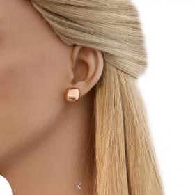 Σκουλαρίκια Καρφωτά Ασήμι 925° SKU-27165