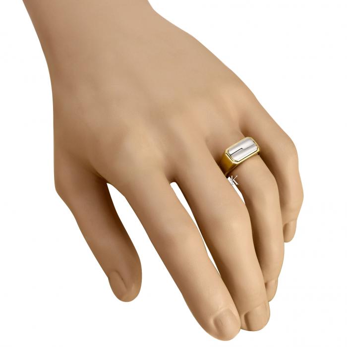 Δαχτυλίδι Χρυσός & Λευκόχρυσος Κ9