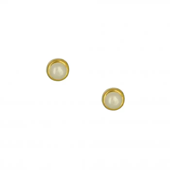 SKU-39207 / Σκουλαρίκια Καρφωτά Χρυσός Κ14 με Μαργαριτάρι