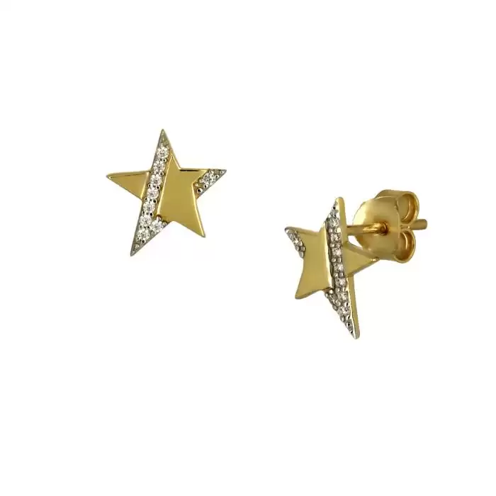 Σκουλαρίκια Καρφωτά Αστέρι Χρυσός Κ9 Με Ζιργκόν