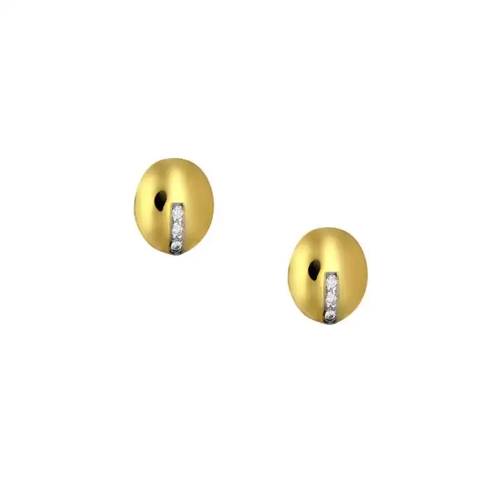 SKU-48551 / Σκουλαρίκια Καρφωτά Χρυσός Κ14 με Ζιργκόν