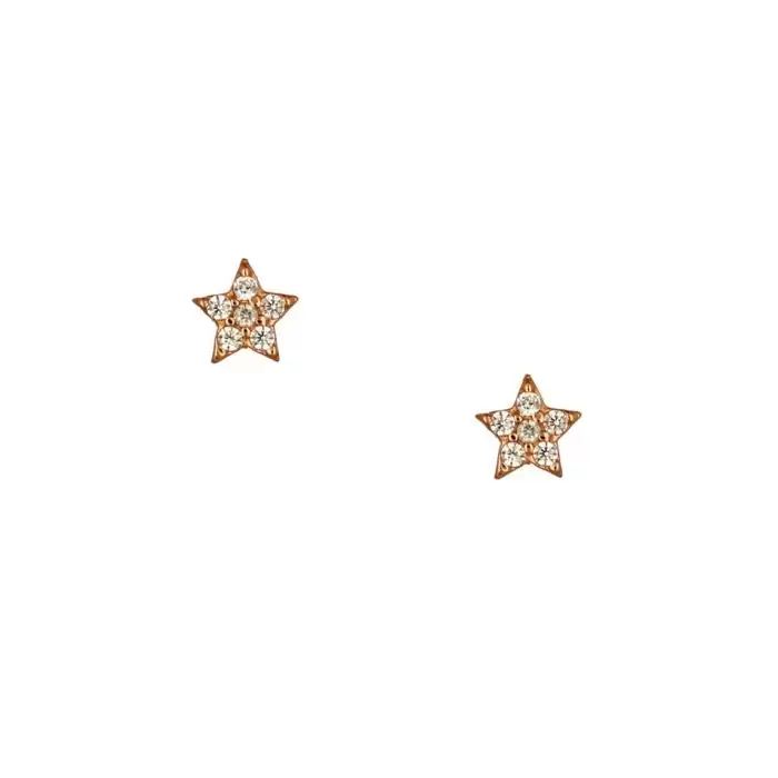 SKU-51768 / Σκουλαρίκια Αστέρι Ροζ Χρυσός Κ14 με Ζιργκόν