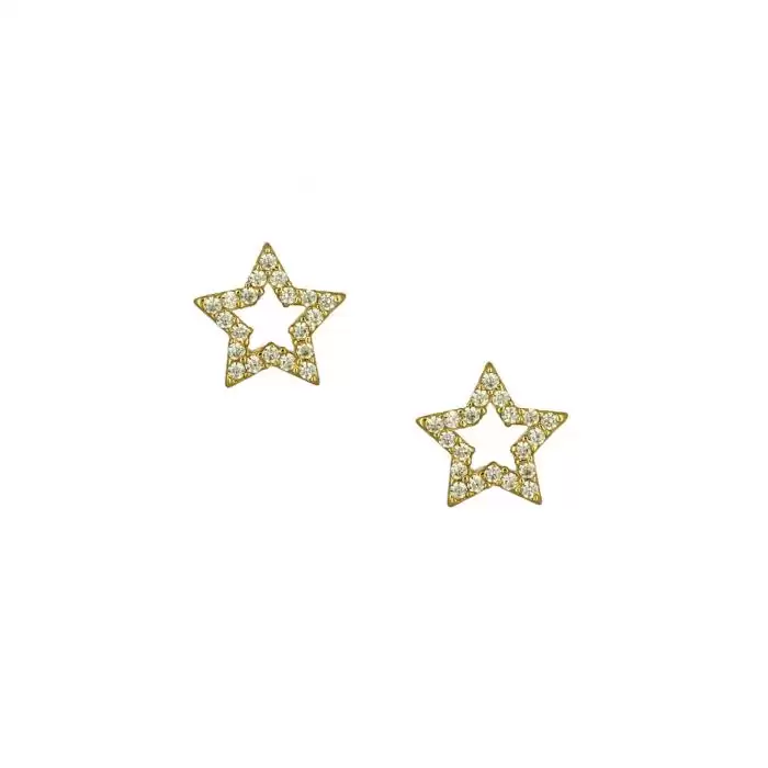 SKU-51743 / Σκουλαρίκια Αστέρι Χρυσός Κ14 με Ζιργκόν