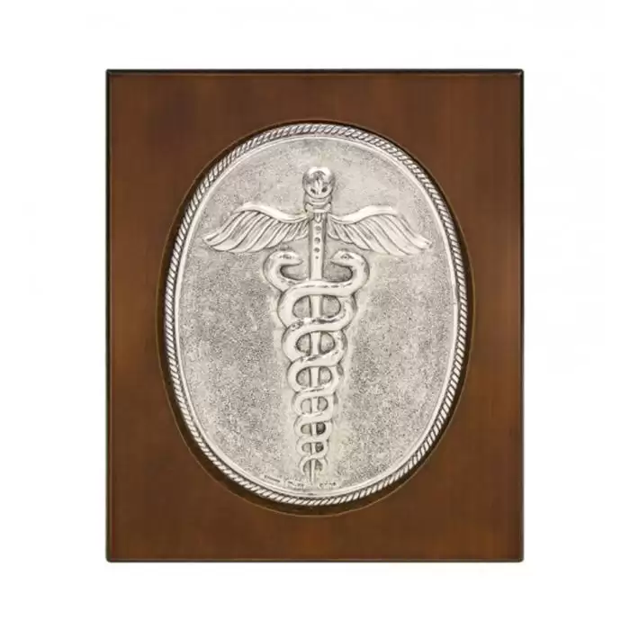 Σύμβολο Ιατρικής από Ασήμι 925º