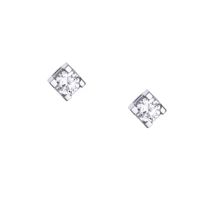 SKU-56185 / Σκουλαρίκια Καρφωτά Λευκόχρυσος Κ9 με Ζιργκόν