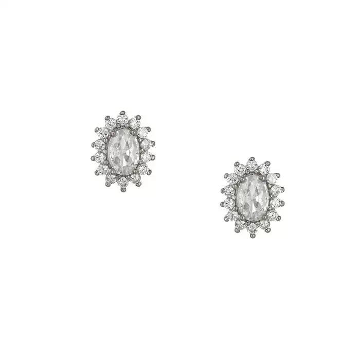 SKU-59597 / Σκουλαρίκια Ροζέτα Λευκόχρυσος Κ9 με Ζιργκόν