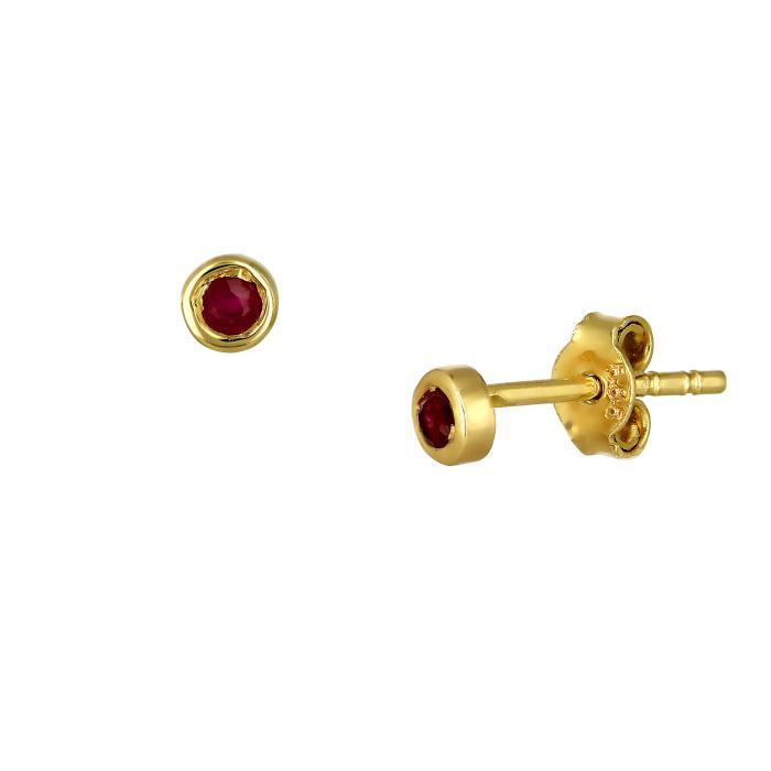SKU-68059 / Σκουλαρίκια Καρφωτά με Ρουμπίνια Χρυσός Κ14