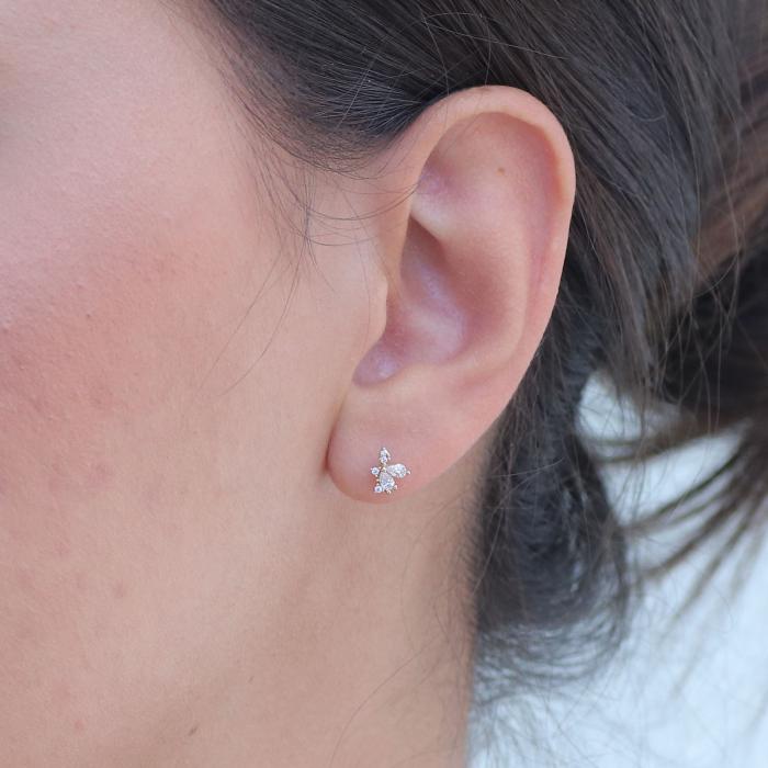 Σκουλαρίκια Καρφωτά Χρυσός Κ9 με Ζιργκόν SKU-75472