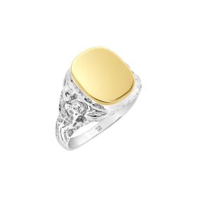 Ανδρικό Δαχτυλίδι Ασήμι 925° & Χρυσός Κ9 SKU-77576