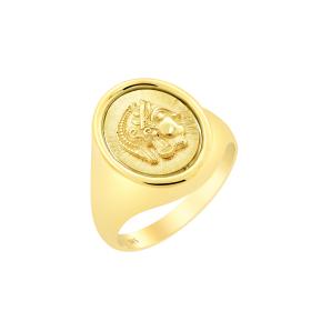 Ανδρικό Δαχτυλίδι με Αρχαιοελληνικό Ύφος Χρυσός K14 SKU-79490