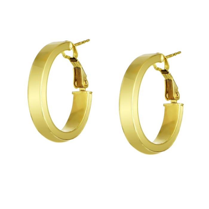 Γυναικεία Σκουλαρίκια Κρίκοι Χρυσός Κ14 SKU-81272