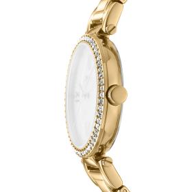 Γυναικείο Ρολόι DKNY Evening με Χρυσό Μπρασελέ SKU-83055