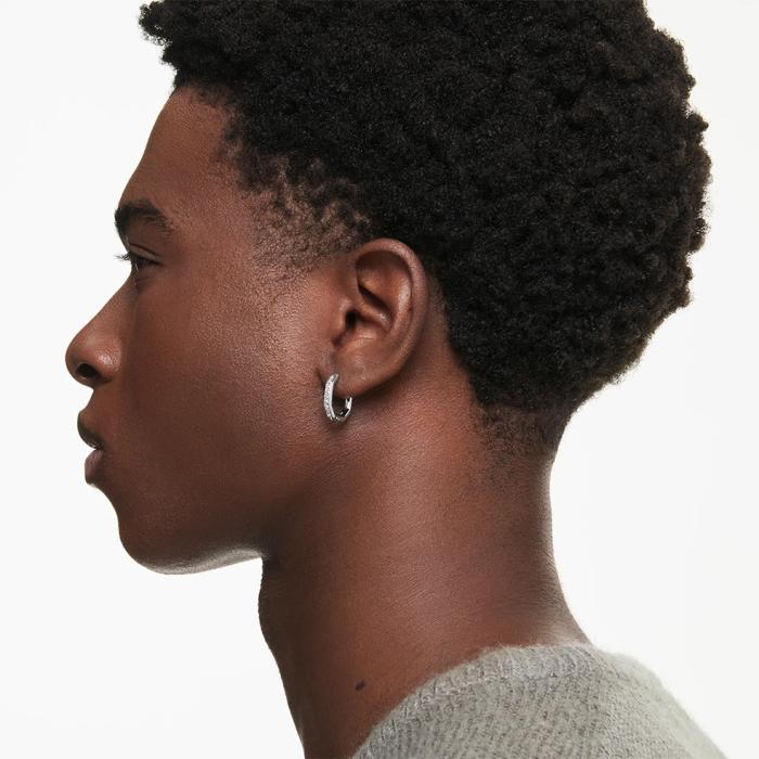 Κρίκοι Swarovski Dextera