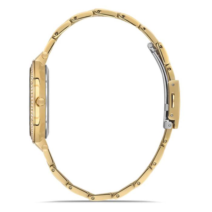 Γυναικείο Ρολόι FERRO με Ασημί Καντράν & Χρυσό Μπρασελέ SKU-86521