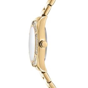 Γυναικείο Ρολόι DKNY Evening με Χρυσό Μπρασελέ SKU-87868