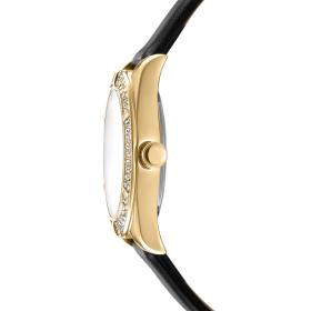 Γυναικείο Ρολόι DKNY Evening με Σαμπανιζέ Καντράν SKU-89985